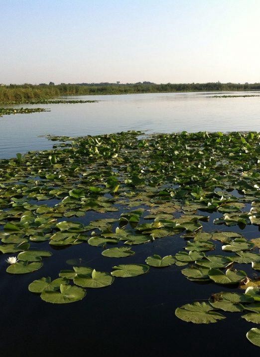 Snagov Lac  vanzare Loturi Teren