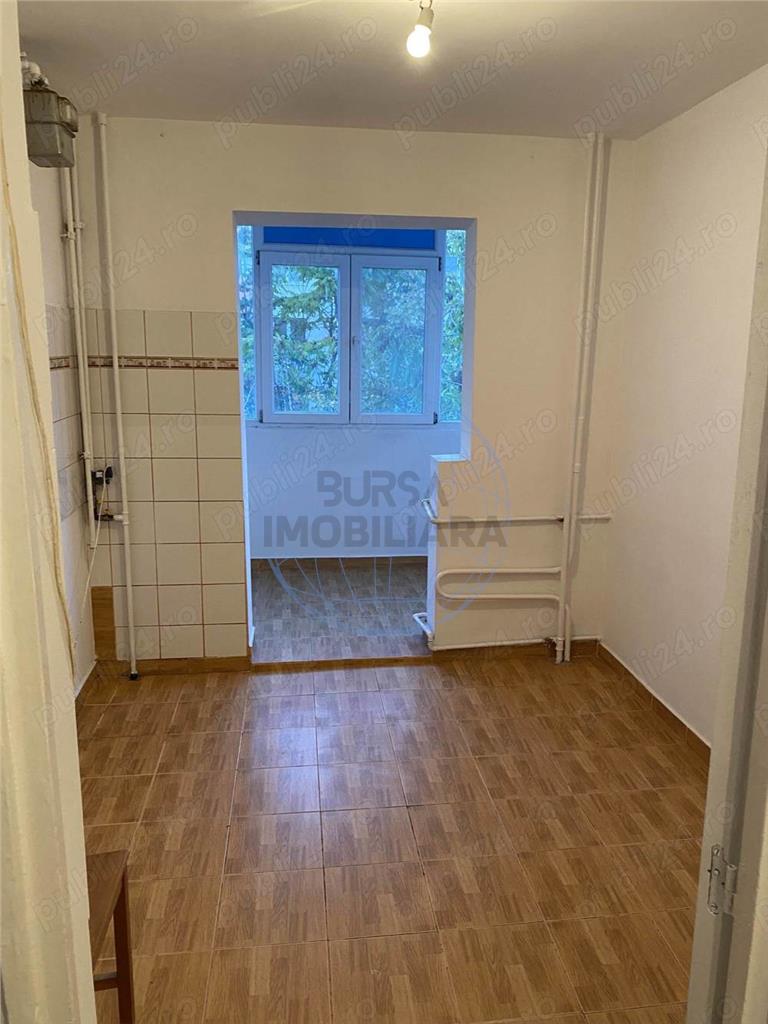 APARTAMENT 3 CAMERE, LACUL TEI