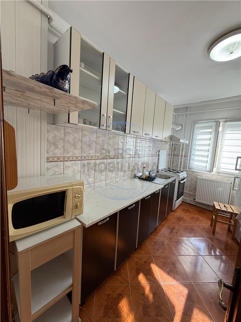 APARTAMENT 2 CAMERE, STR. BUCEGI