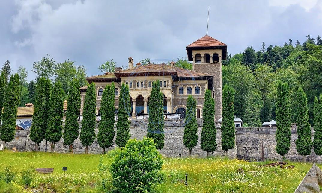 Busteni vanzare Teren