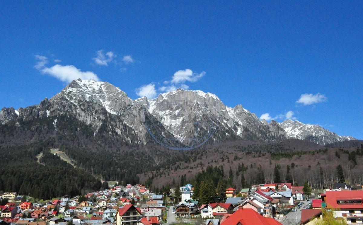 Busteni vanzare Teren
