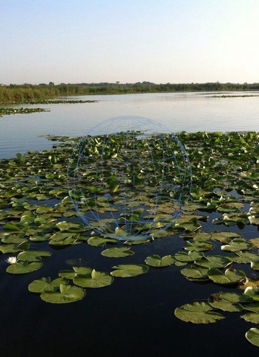Snagov Lac vanzare Loturi Teren