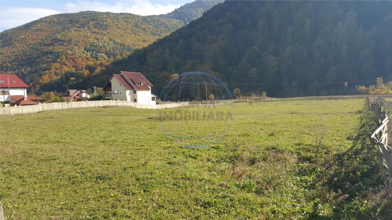 Teren extravilan Lepsa zona Casa Albert