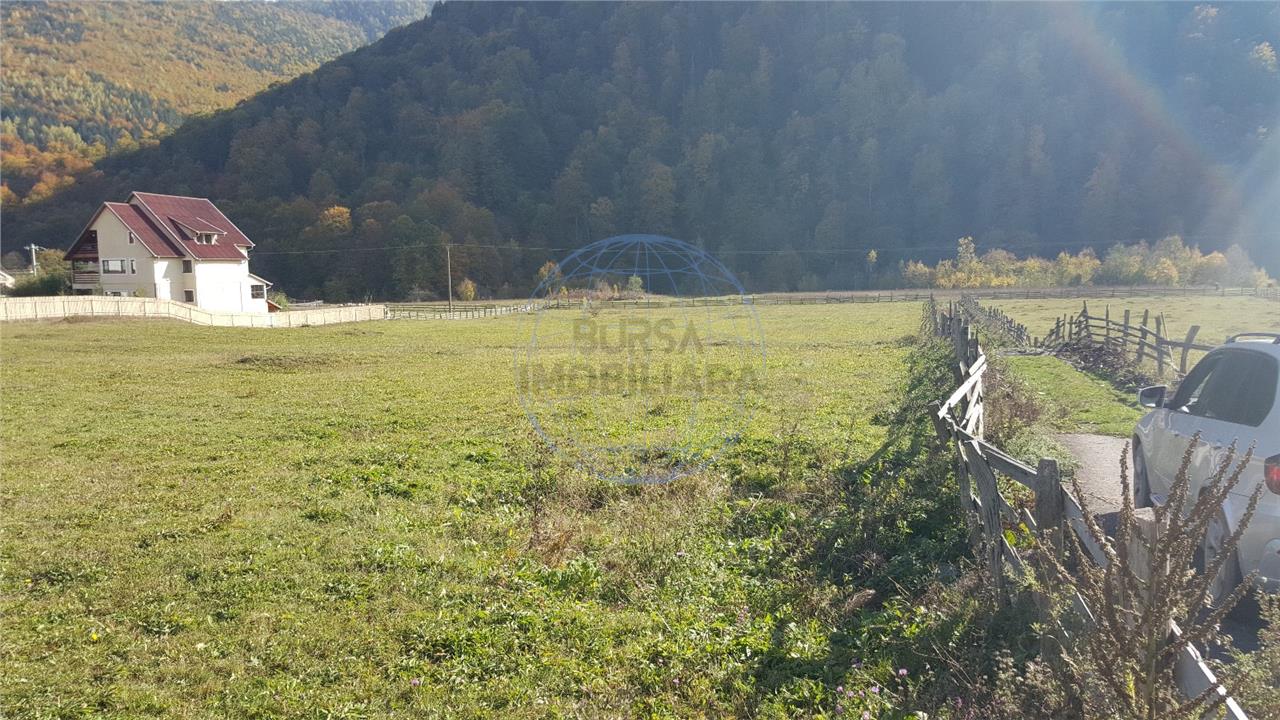 Teren extravilan Lepsa zona Casa Albert
