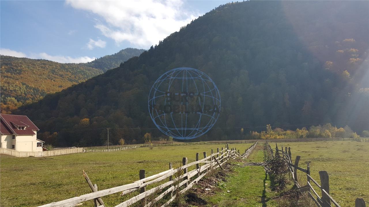 Teren extravilan Lepsa zona Casa Albert