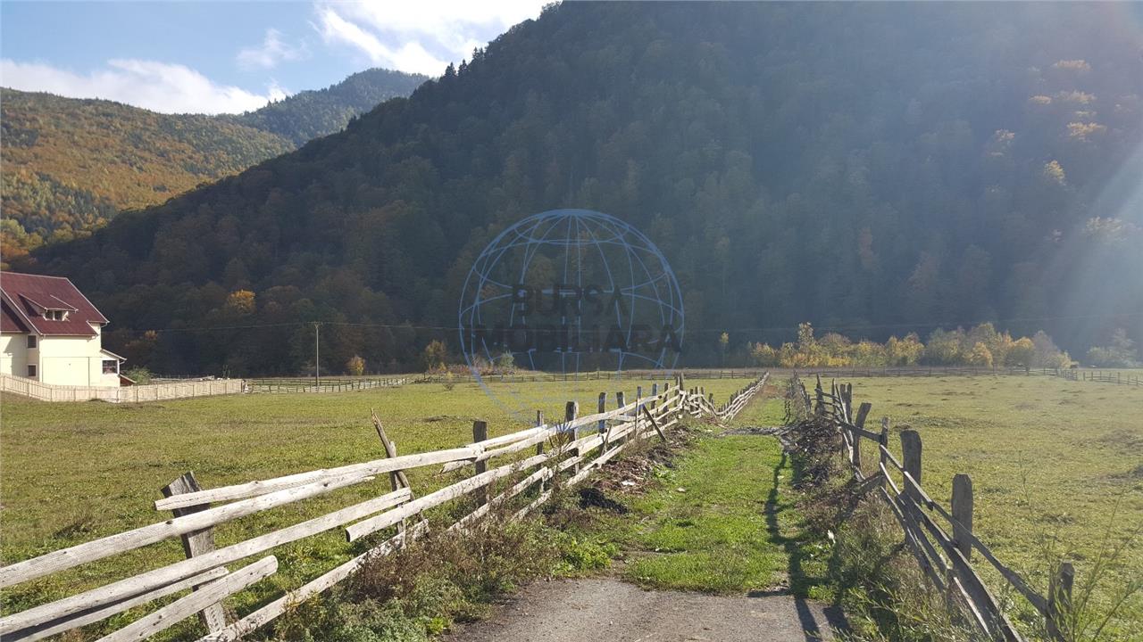 Teren extravilan Lepsa zona Casa Albert