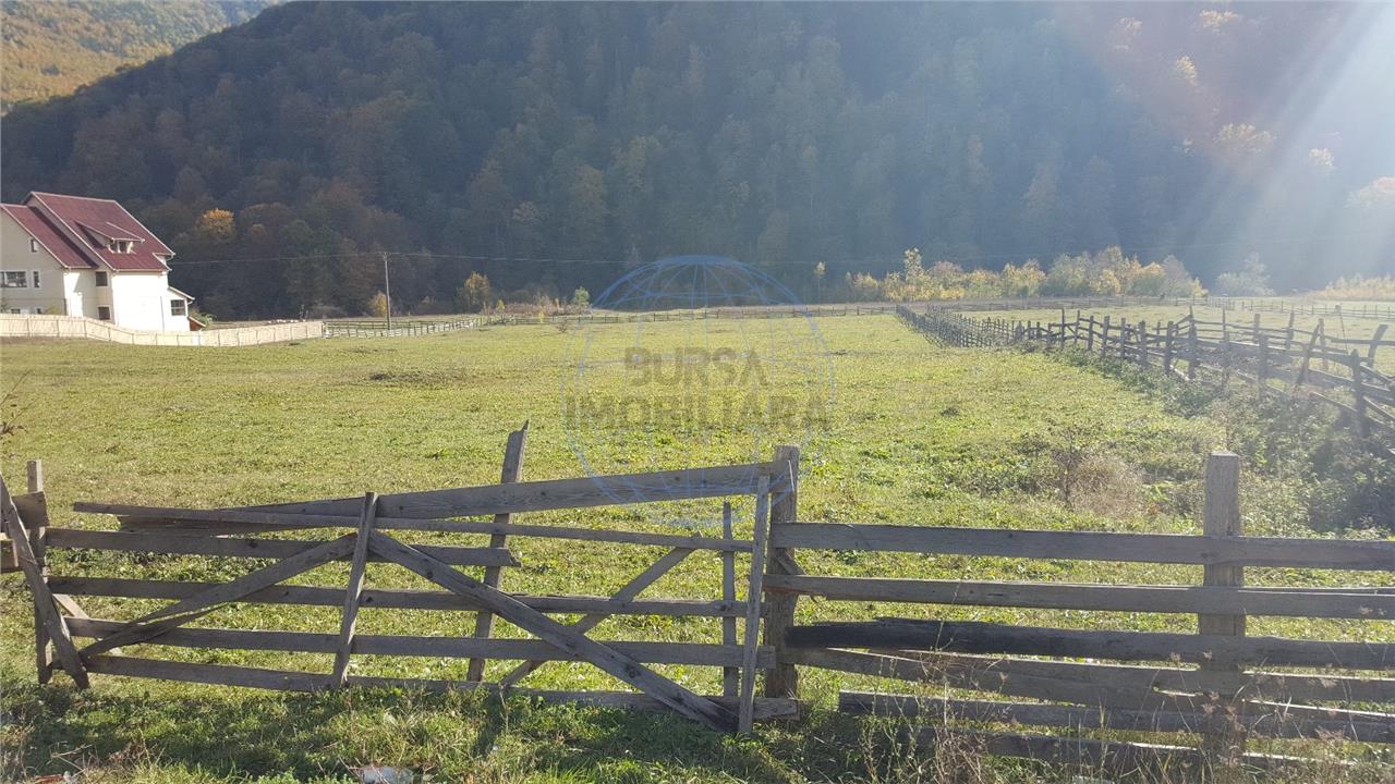 Teren extravilan Lepsa zona Casa Albert