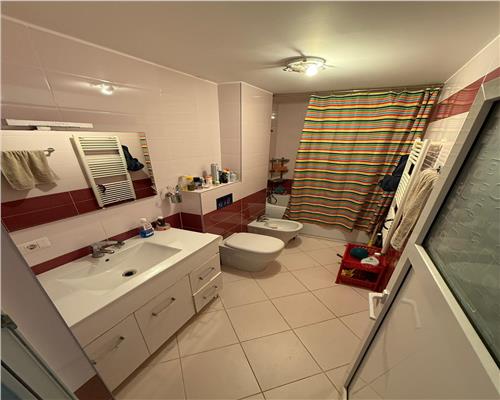 SPATIU COMERCIAL STR. BUCEGI