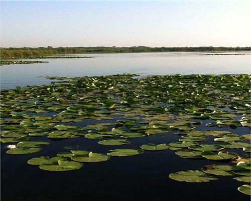 Snagov Lac  vanzare Loturi Teren
