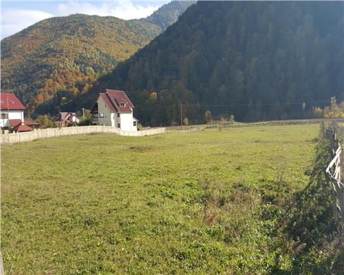 Teren extravilan Lepsa zona Casa Albert