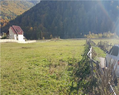 Teren extravilan Lepsa zona Casa Albert