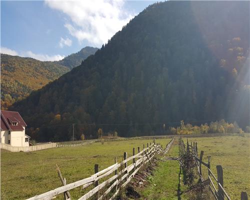 Teren extravilan Lepsa zona Casa Albert