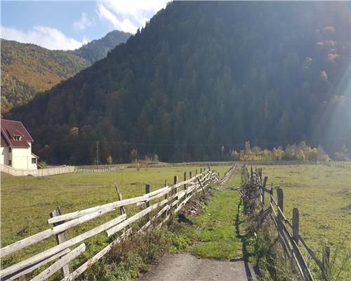 Teren extravilan Lepsa zona Casa Albert