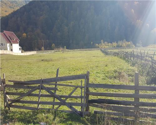 Teren extravilan Lepsa zona Casa Albert